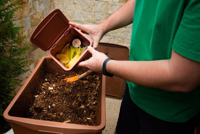 Composting in Schools